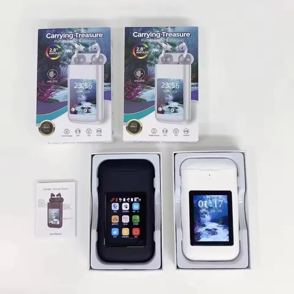 Carrying Treasure Earbuds